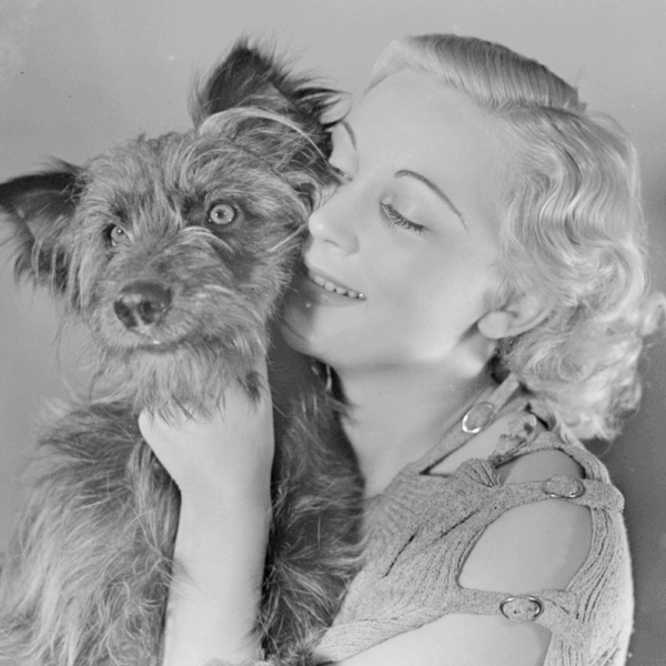 Doldwaze Dieren kaartenset (8 kaarten)